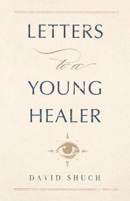 bokomslag Letters to a Young Healer