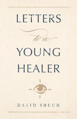 bokomslag Letters to a Young Healer