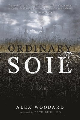 Ordinary Soil 1