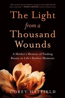Corey Hatfield - Light from a Thousand Wounds, Häftad