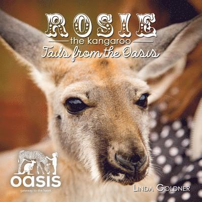 Rosie The Kangaroo 1