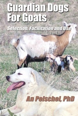 Guardian Dogs For Goats 1