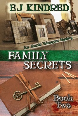 bokomslag Family Secrets