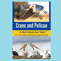 bokomslag Crane and Pelican: A Bird Book for Kids(TM)
