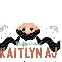 bokomslag The Adventures of Kaitlyn & AJ