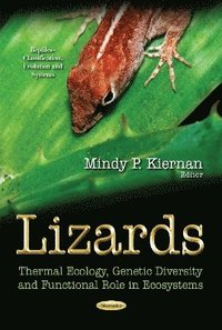 bokomslag Lizards