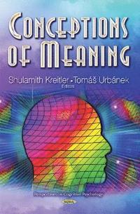 bokomslag Conceptions of Meaning