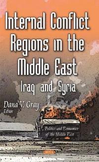 bokomslag Internal Conflict Regions in the Middle East