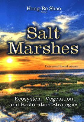 bokomslag Salt Marshes