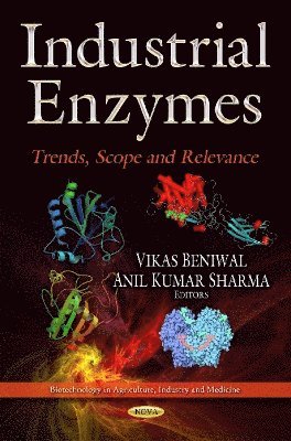 bokomslag Industrial Enzymes