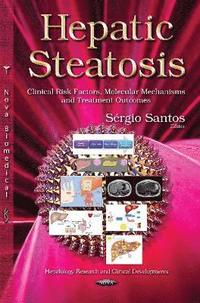 bokomslag Hepatic Steatosis