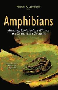 bokomslag Amphibians