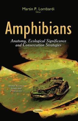 bokomslag Amphibians
