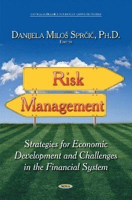 bokomslag Risk Management