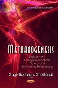 bokomslag Methanogenesis