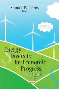 bokomslag Energy Diversity for Economic Progress