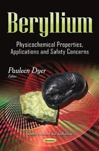 bokomslag Beryllium
