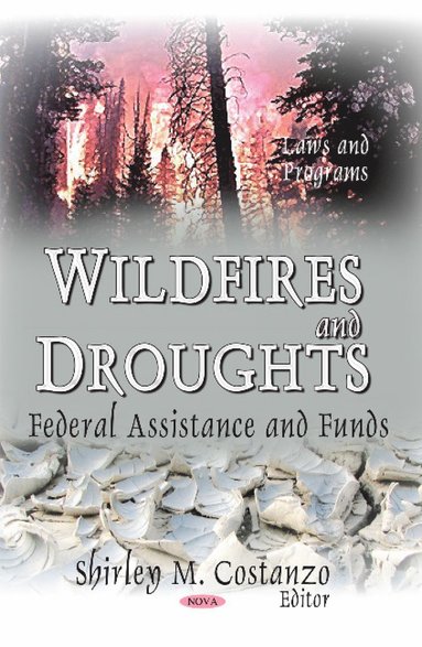 bokomslag Wildfires and Droughts