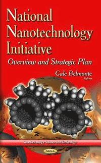 bokomslag National Nanotechnology Initiative