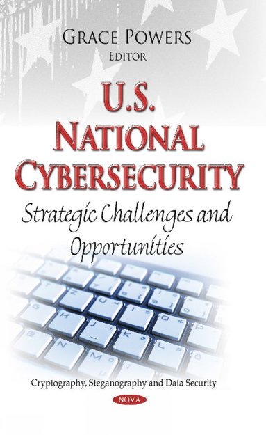 bokomslag U.S. National Cybersecurity