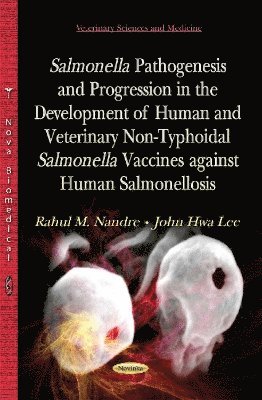 bokomslag Salmonella Pathogenesis and Progression in the Development of Human & Veterinary Non-Typhoidal Salmonella Vaccines Against Human Salmonellosis