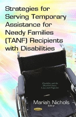 bokomslag Strategies for Serving Temporary Assistance for Needy Families (TANF) Recipients with Disabilities