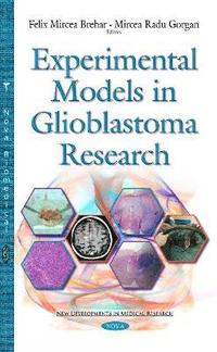 bokomslag Experimental Models in Glioblastoma Research