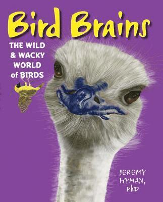 bokomslag Bird Brains