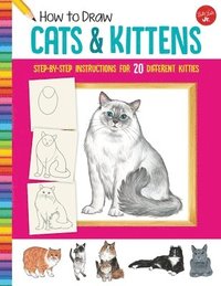 bokomslag How to Draw Cats & Kittens