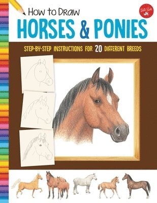 How to Draw Horses & Ponies 1