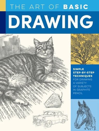 William F. Powell, Michael Butkus, Walter Foster, Mia Tavonatti - Art of Basic Drawing, Häftad