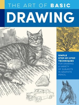The Art of Basic Drawing 1