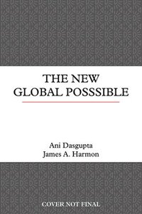 bokomslag The New Global Possible