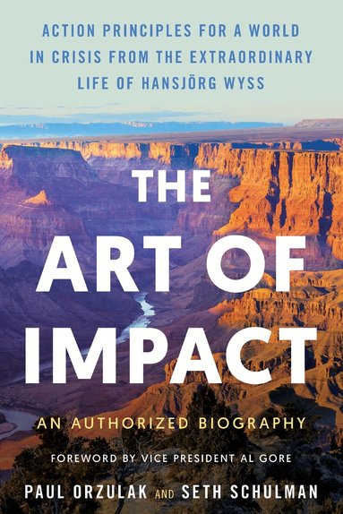 Paul Orzulak, Seth Schulman - Art of Impact, Inbunden