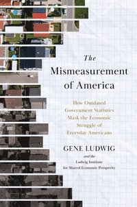 bokomslag The Mismeasurement of America