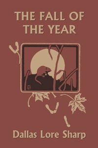 bokomslag The Fall of the Year