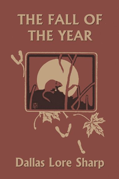 bokomslag The Fall of the Year