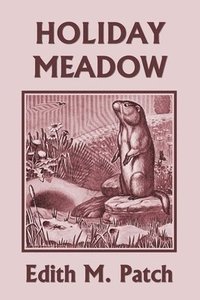bokomslag Holiday Meadow (Yesterday's Classics)