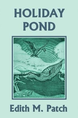 bokomslag Holiday Pond (Yesterday's Classics)