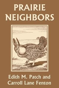 bokomslag Prairie Neighbors (Yesterday's Classics)