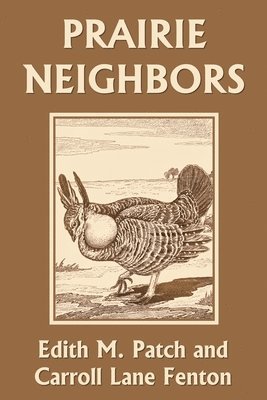 Prairie Neighbors (Yesterday's Classics) 1