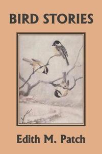 bokomslag Bird Stories (Yesterday's Classics)
