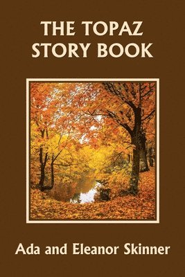 Ada M Skinner, Eleanor L Skinner - Topaz Story Book (Yesterday's Classics), Häftad