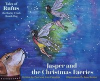 bokomslag Jasper and the Christmas Faeries