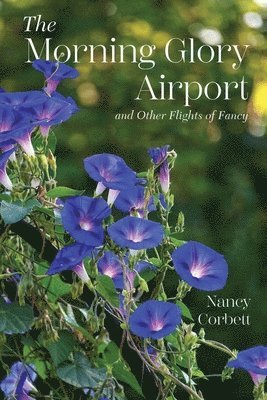 The Morning Glory Airport and Other Flights of Fancy 1