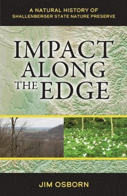 Impact Along the Edge 1