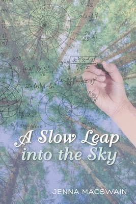 A Slow Leap into the Sky 1