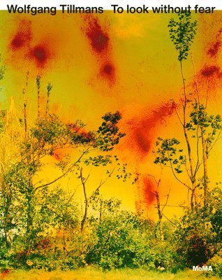 bokomslag Wolfgang Tillmans: To look without fear