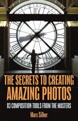 bokomslag Secrets to Amazing Photo Composition