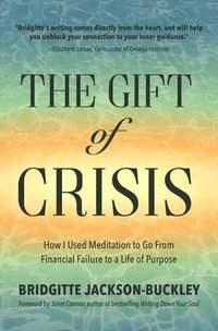 bokomslag Gift of Crisis